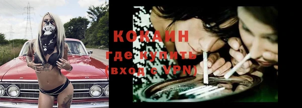 шишки Гусь-Хрустальный