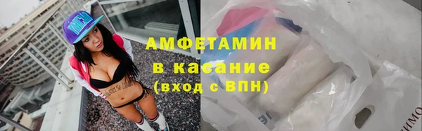 шишки Гусь-Хрустальный