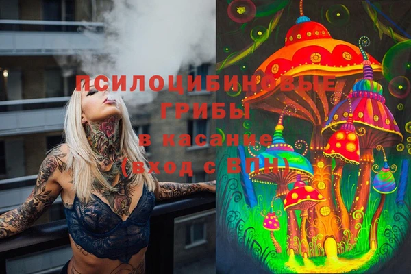 2c-b Гусиноозёрск