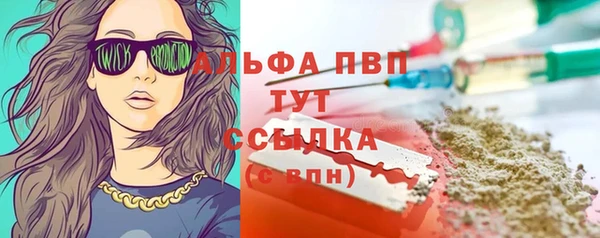spice Гусев