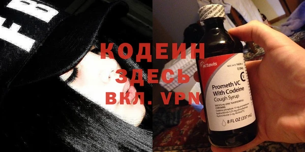 шишки Гусь-Хрустальный