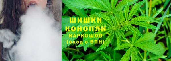шишки Гусь-Хрустальный