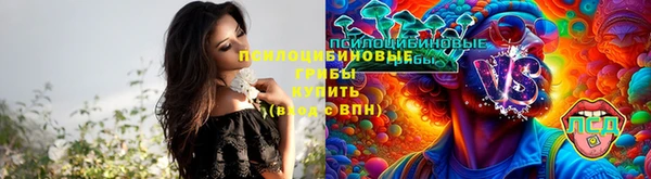 2c-b Гусиноозёрск