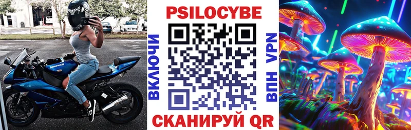 Галлюциногенные грибы Psilocybe  что такое наркотик  darknet клад  Ейск 
